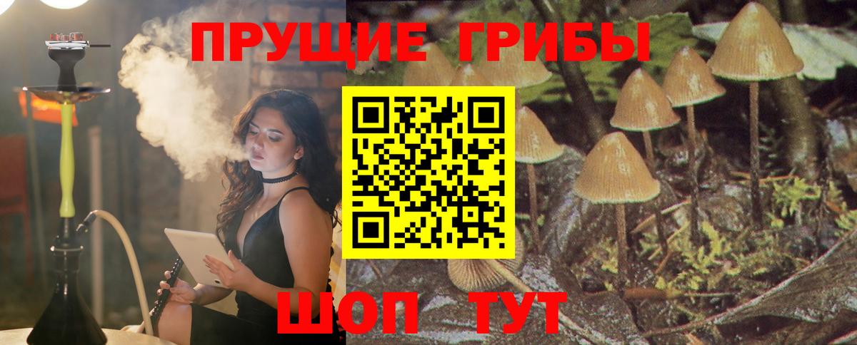 Галлюциногенные грибы MAGIC MUSHROOMS Зерноград
