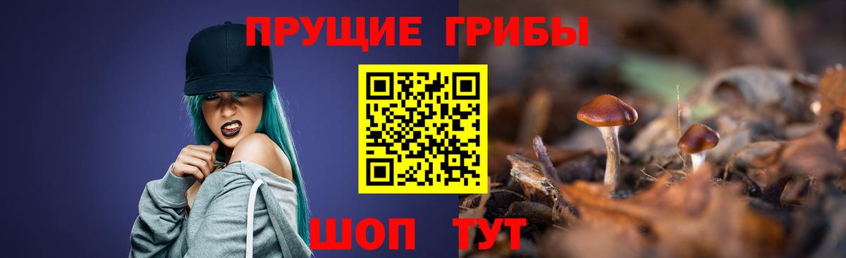 Псилоцибиновые грибы GOLDEN TEACHER  Вход с VPN  Зерноград  Галлюциногенные грибы мицелий 